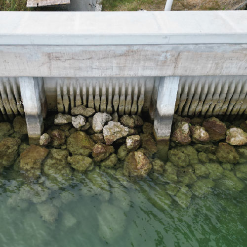 lving-seawall world spire